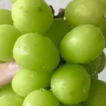 672d816f1f2f5dbcc99ea862